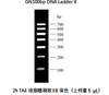 GN100BP DNA Ladder II Nukleinsäureelektrophorese-Marker