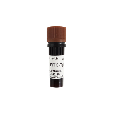 Fitc-Tyramid für Tyramidsignalverstärkung Immunfluoreszenzreagenz